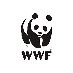 Wwf Store 3