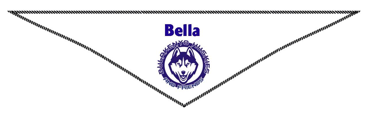 Dog Bandannas